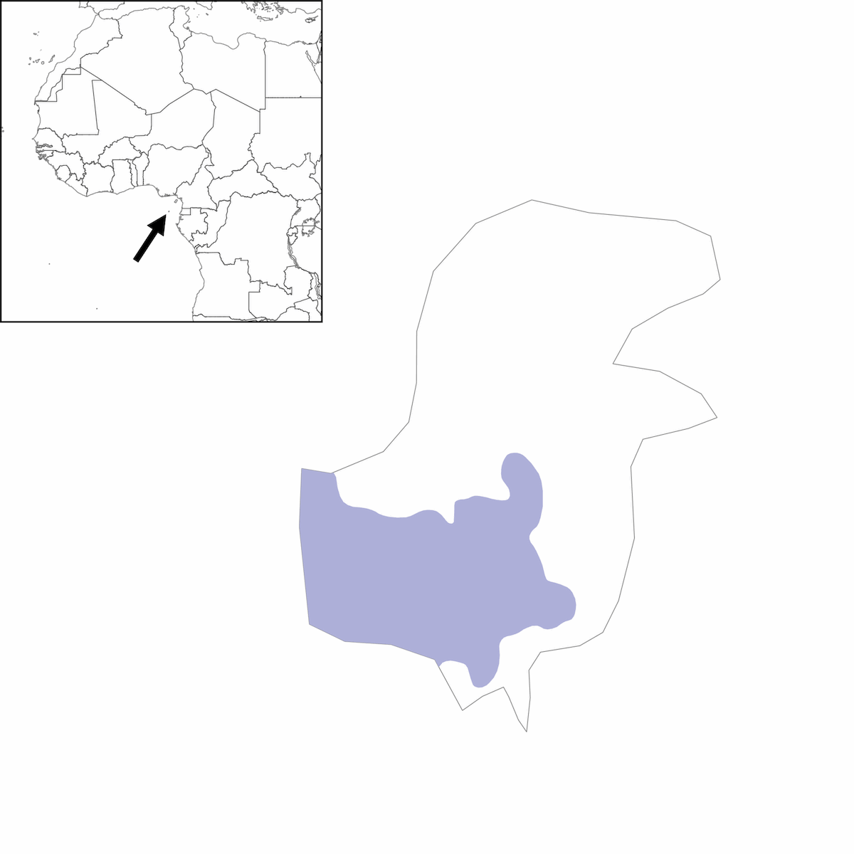 Petit-duc de Principe, Distribution 1