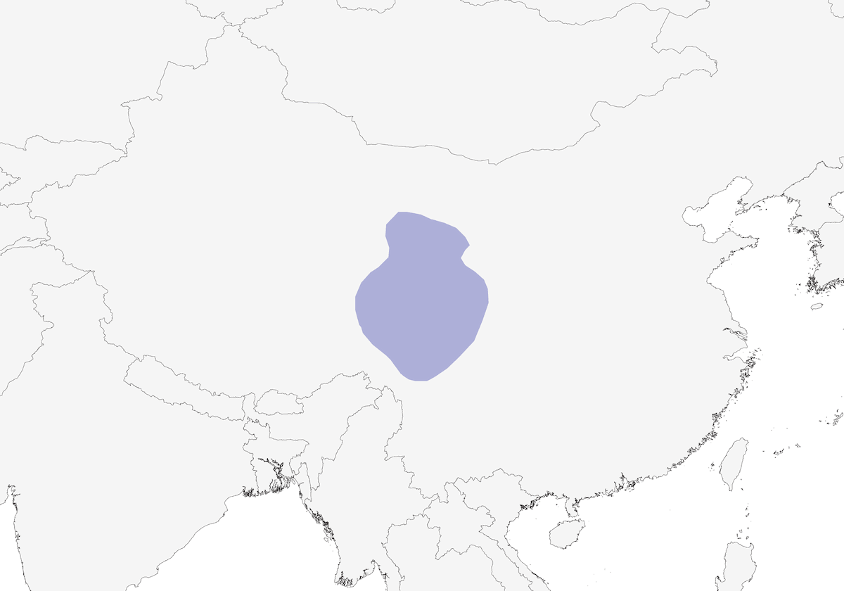 Carpodaco di Przevalski, Distribuzione 1