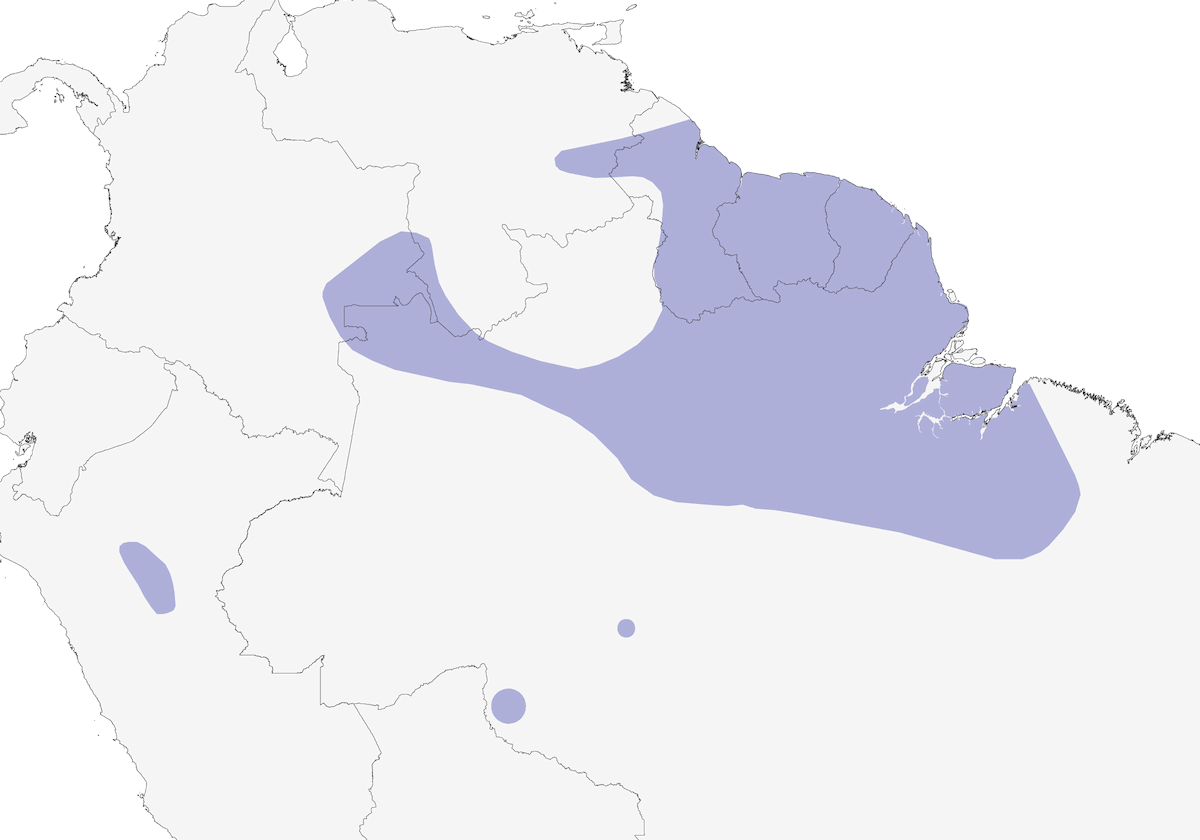 Cotinga pettoviola, Distribuzione 1