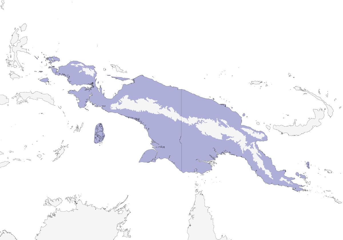Mielero de Dorso Hinchado, Distribución 1