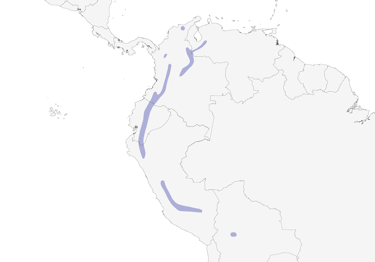 Acantiza dorsoviola, Distribuzione 1
