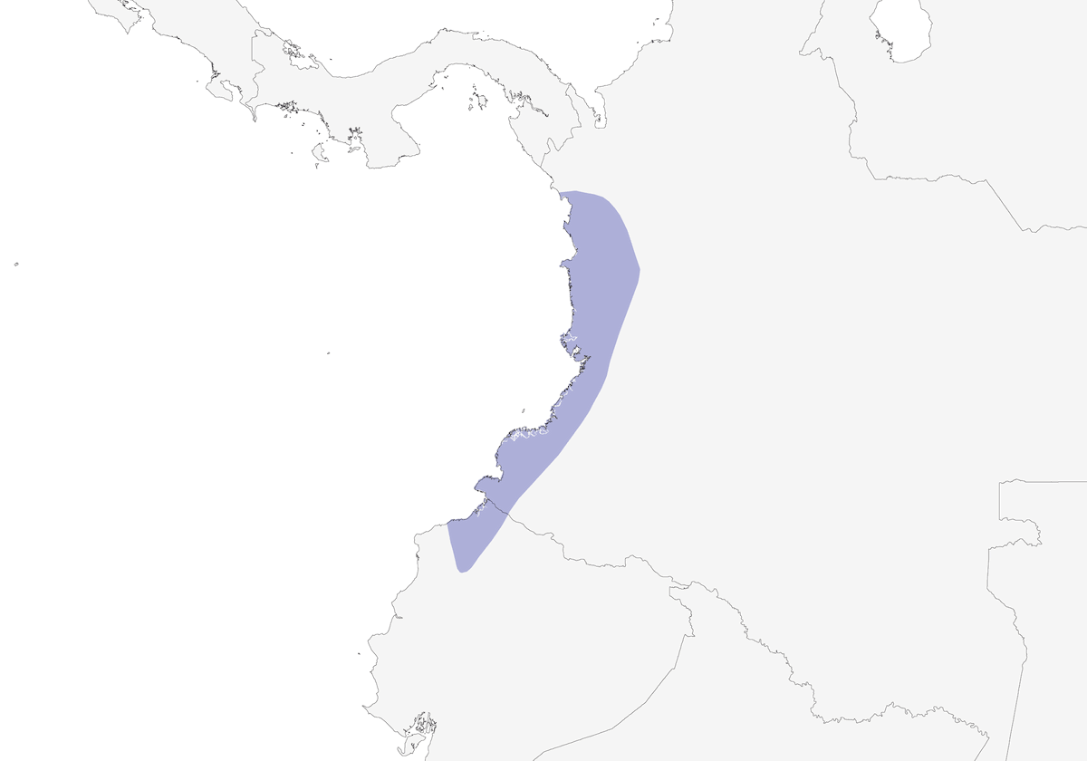 Colibrí Pechipurpúreo, Distribución 1