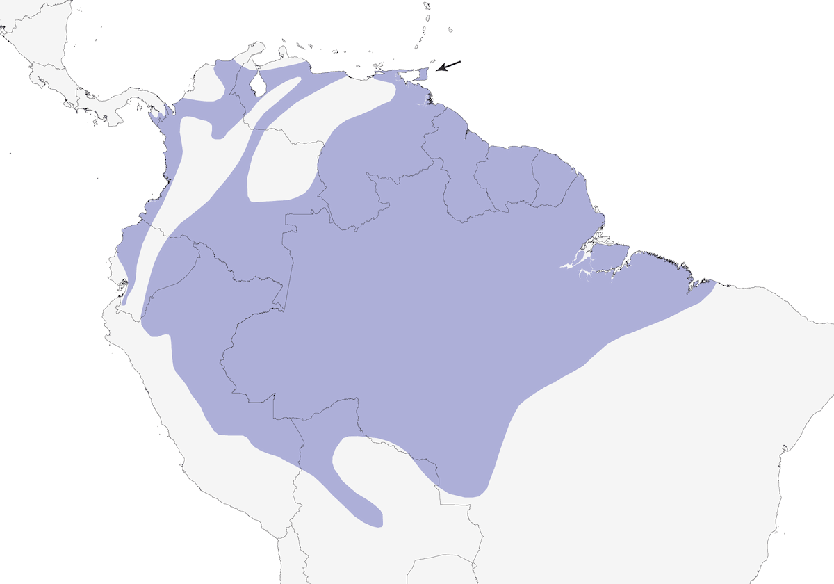 Cianerpe purpureo, Distribuzione 1