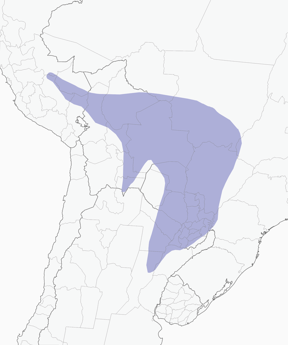 Chara purpúrea, Distribución 1