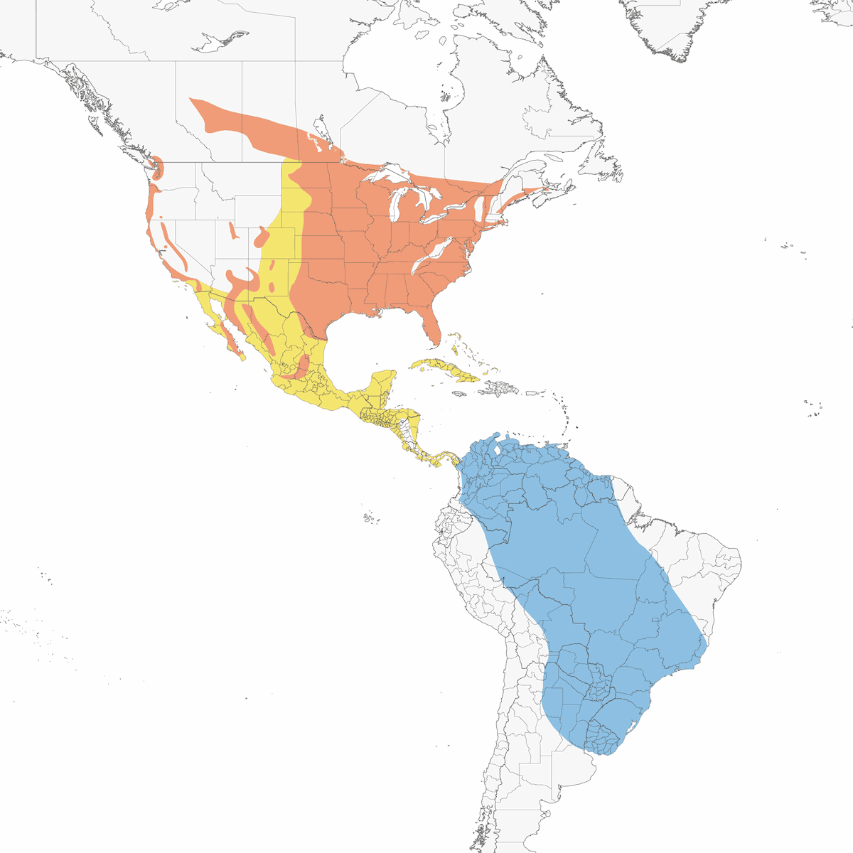 Purple Martin, Distribution 1
