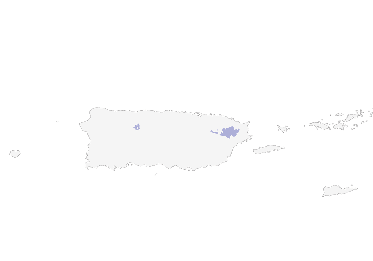 Puerto Rican Amazon, Distribution 1