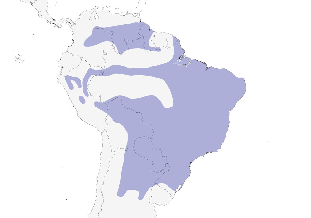 Eufonia golapurpurea, Distribuzione 1