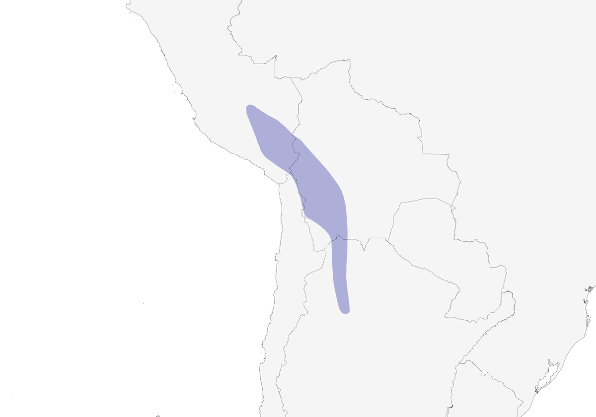 Puna Yellow-Finch, Distribution 1