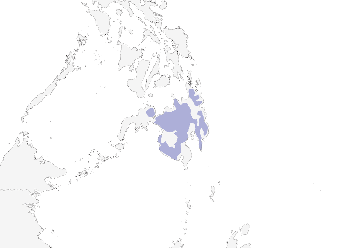 Mindanao Pygmy-Babbler, Distribution 1