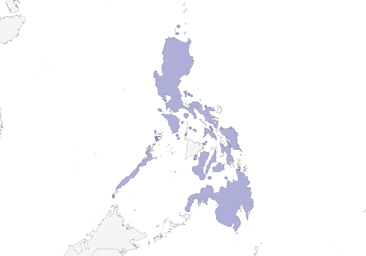 Pygmy Flowerpecker, Distribution 1