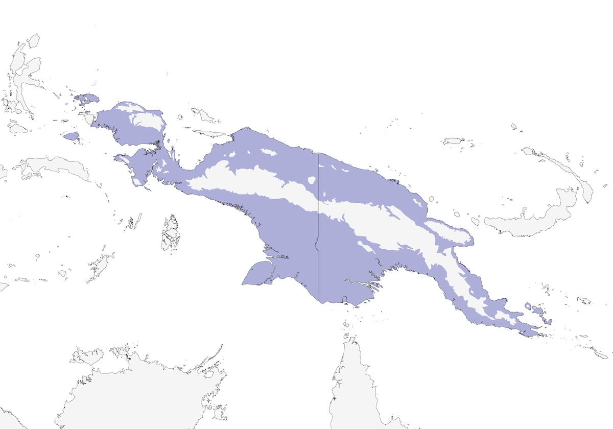 Pygmy Longbill, Distribution 1