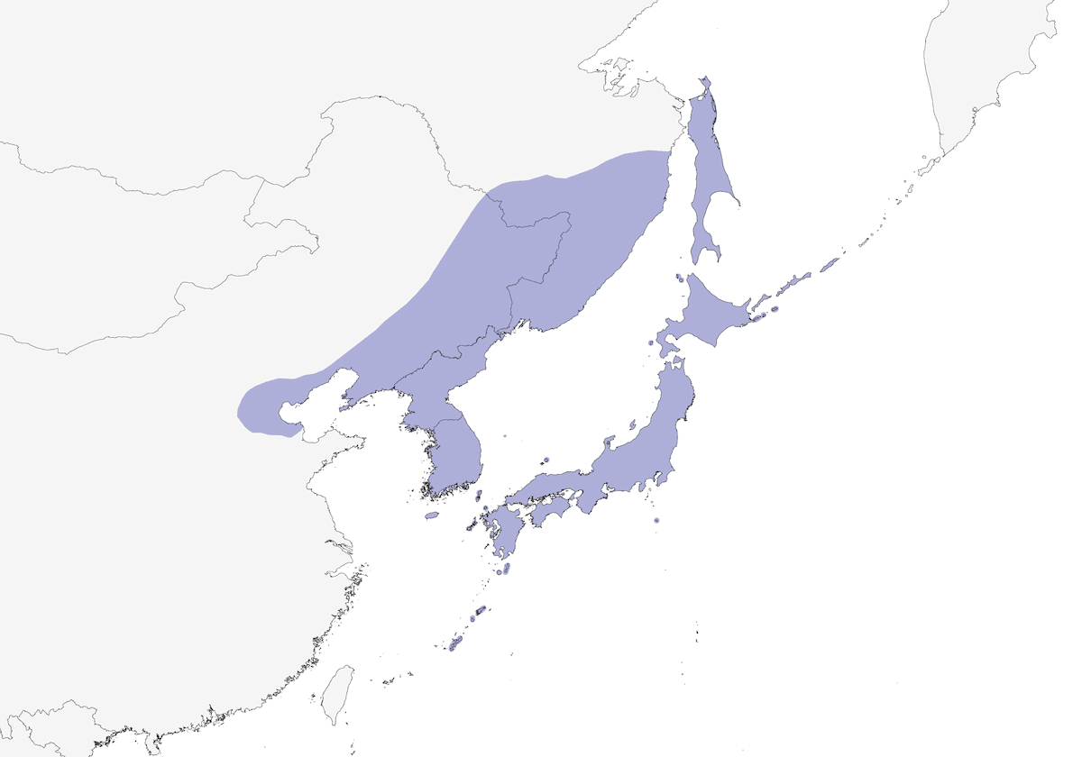 Japanischer Zwergspecht, Verbreitung 1