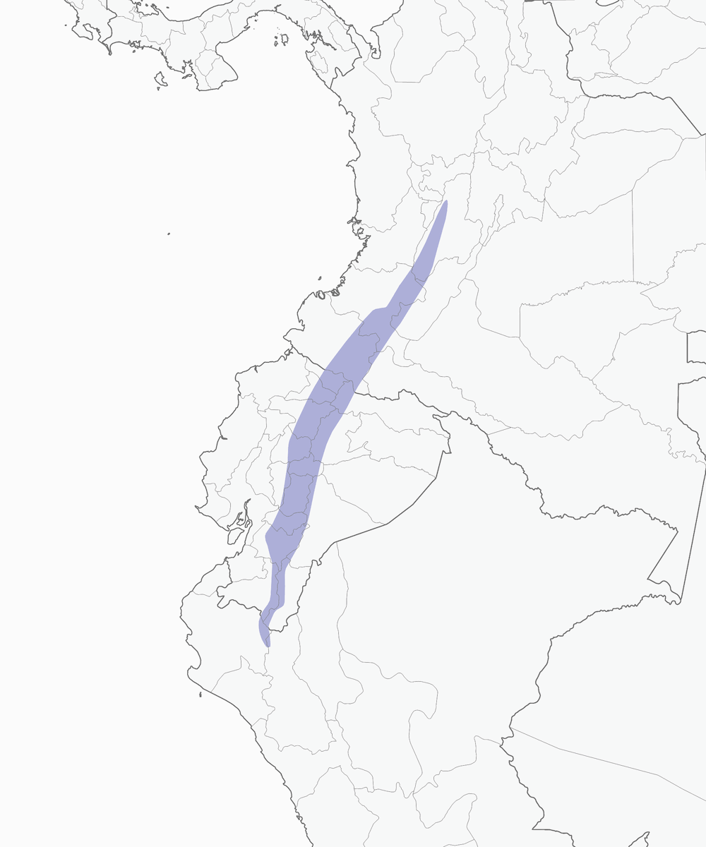 Acantiza barbacolorata, Distribuzione 1