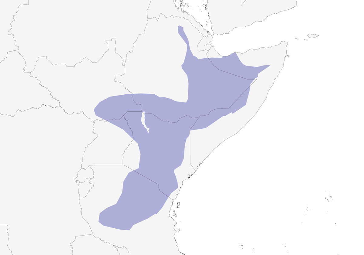 Red-and-yellow Barbet, Distribution 1