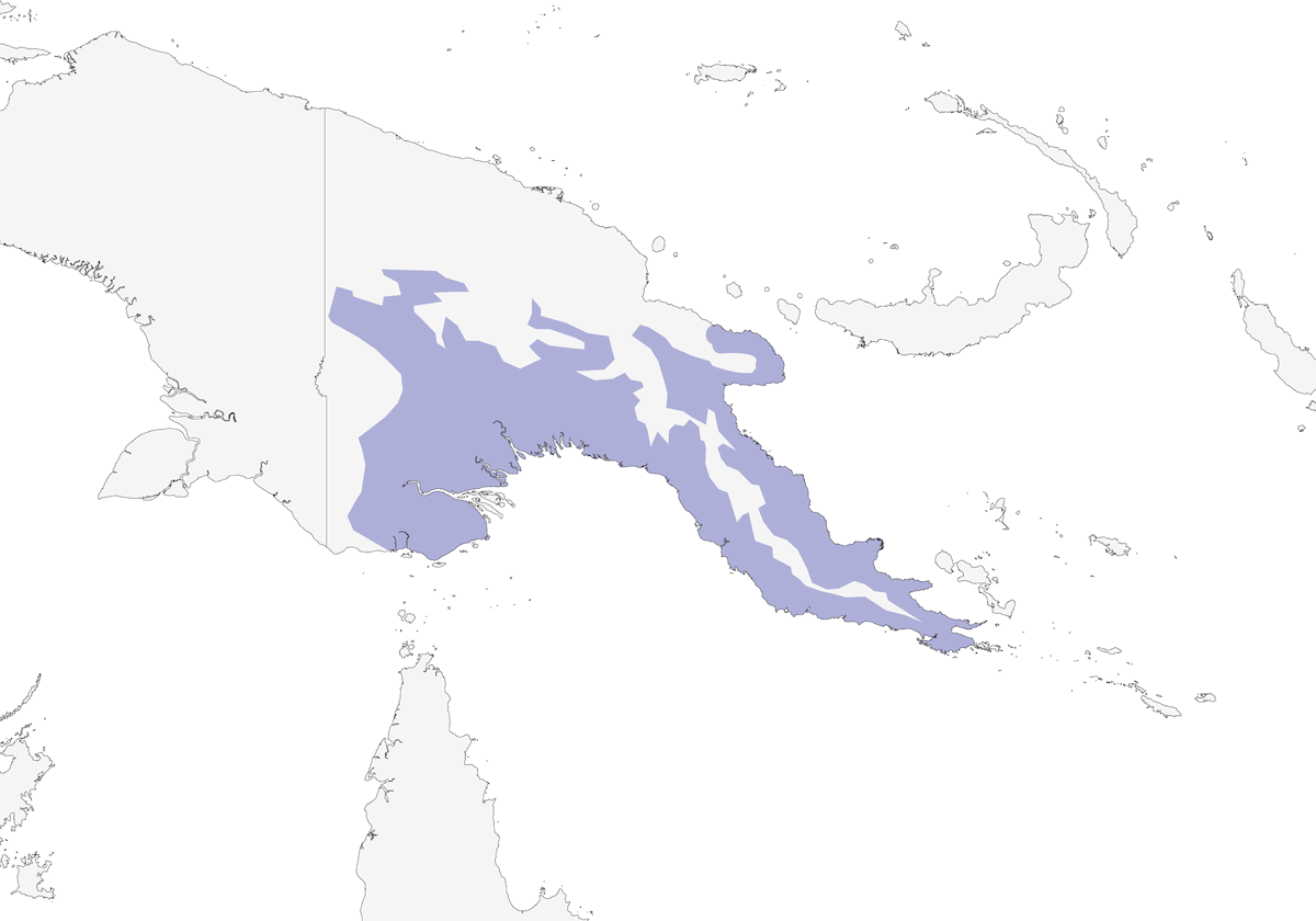 Ave del paraíso de Raggiana, Distribución 1