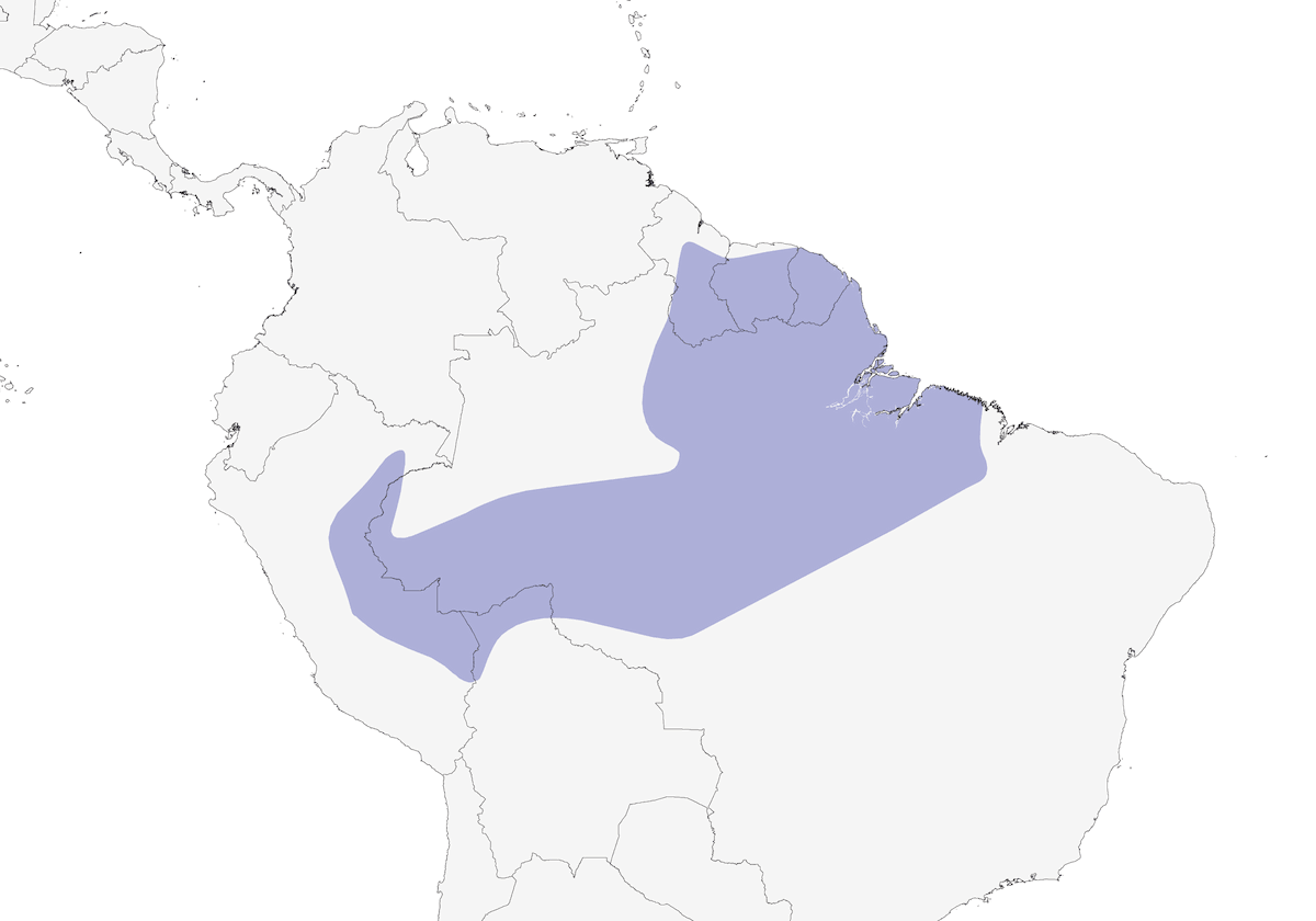 Red-billed Pied Tanager, Distribution 1