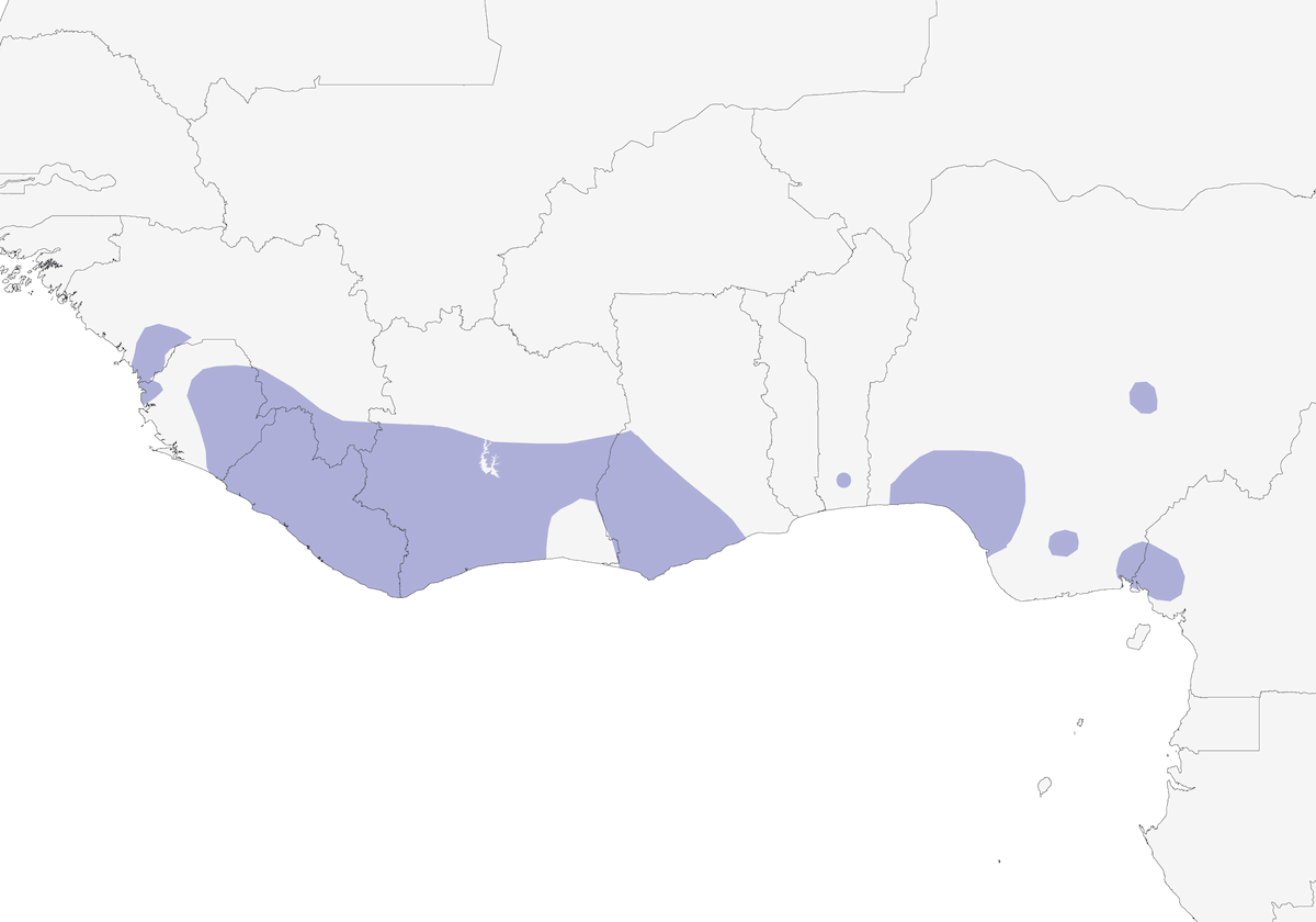 Platisteira guancerosse, Distribuzione 1