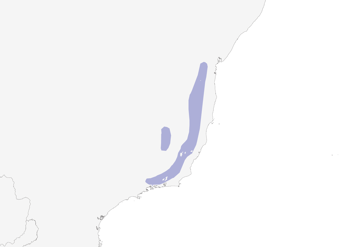 Rio de Janeiro Antbird, Distribution 1