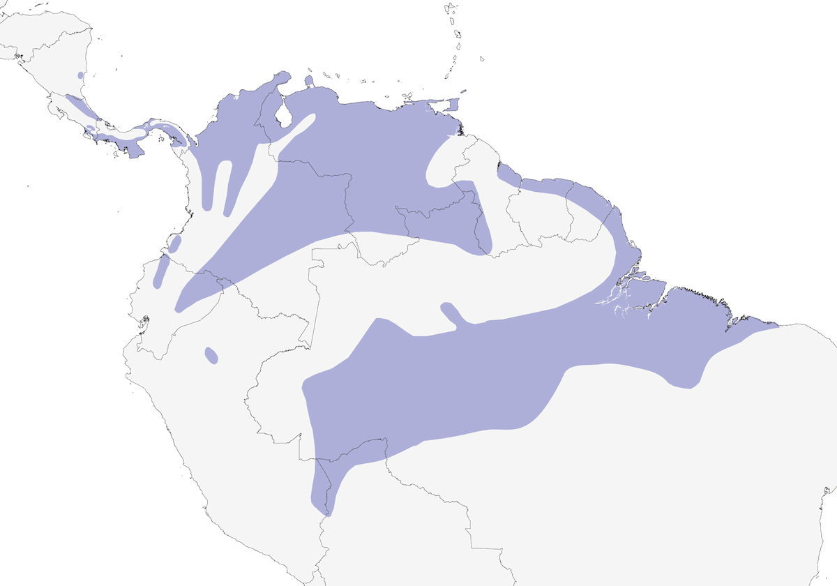 Sturnella pettorosso, Distribuzione 1