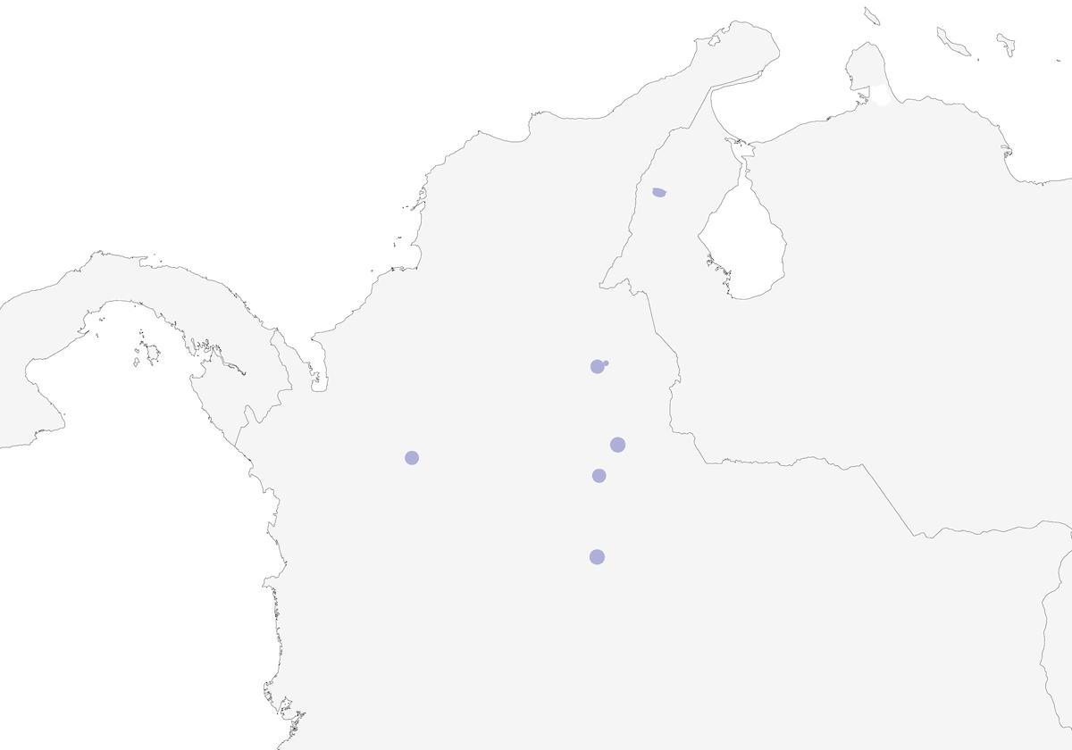 Bucconide beccoricurvo, Distribuzione 1