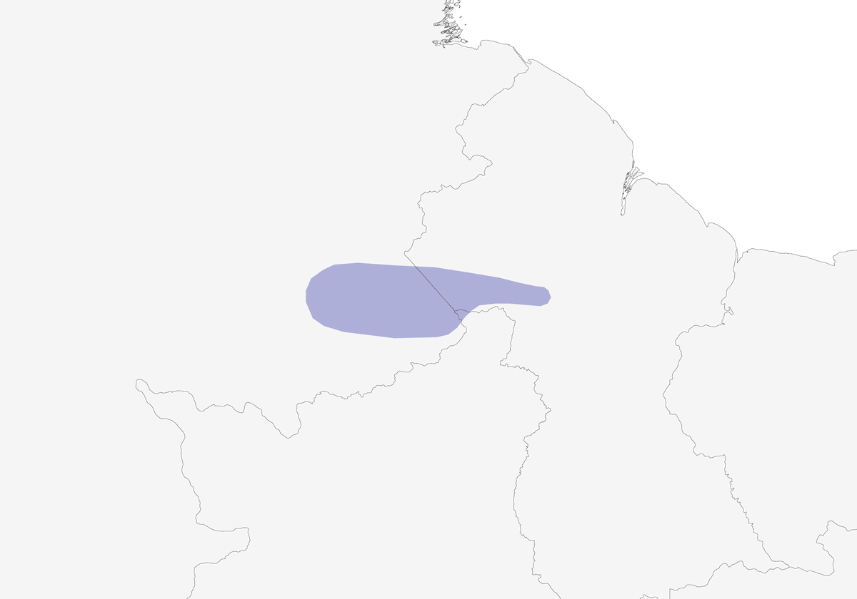 Frutero de faja roja, Distribución 1