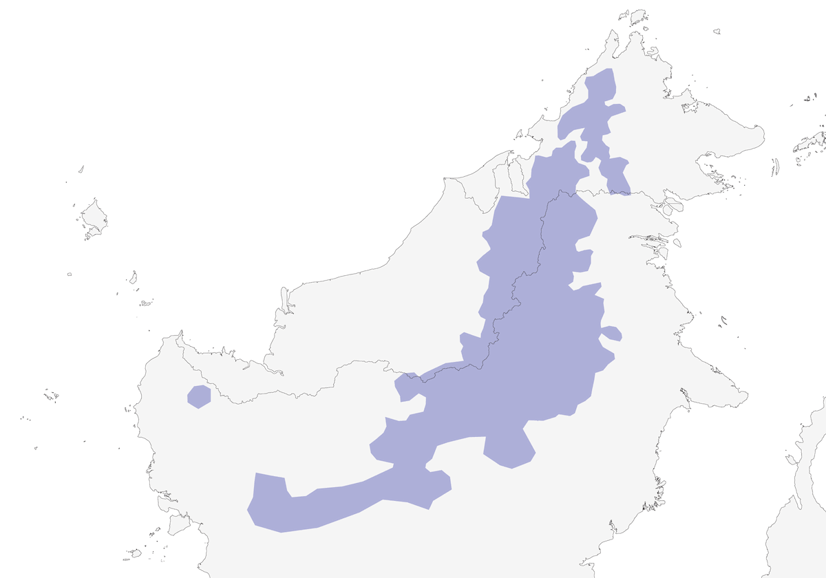 Red-breasted Partridge, Distribution 1
