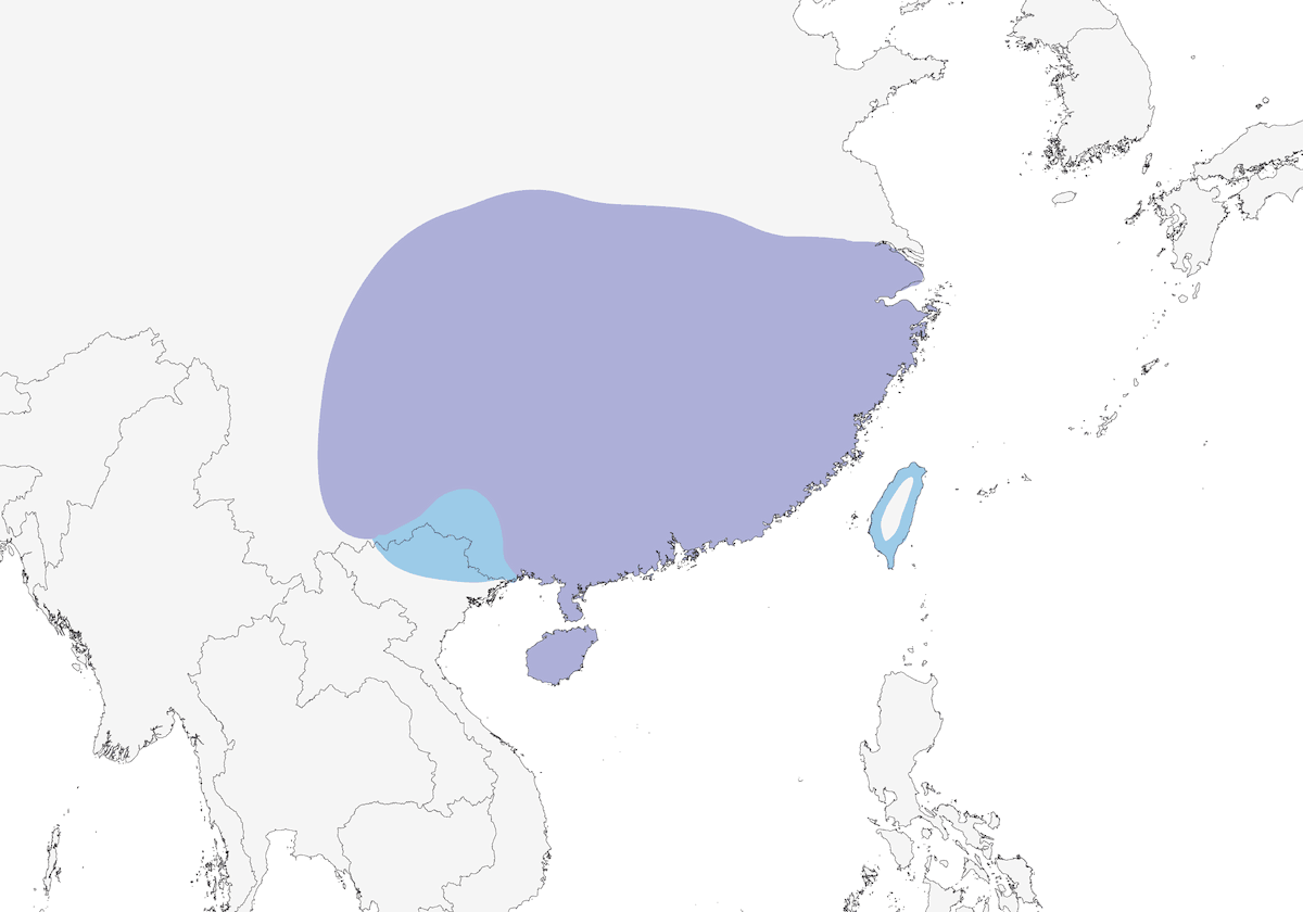 Étourneau mandarin, Distribution 1