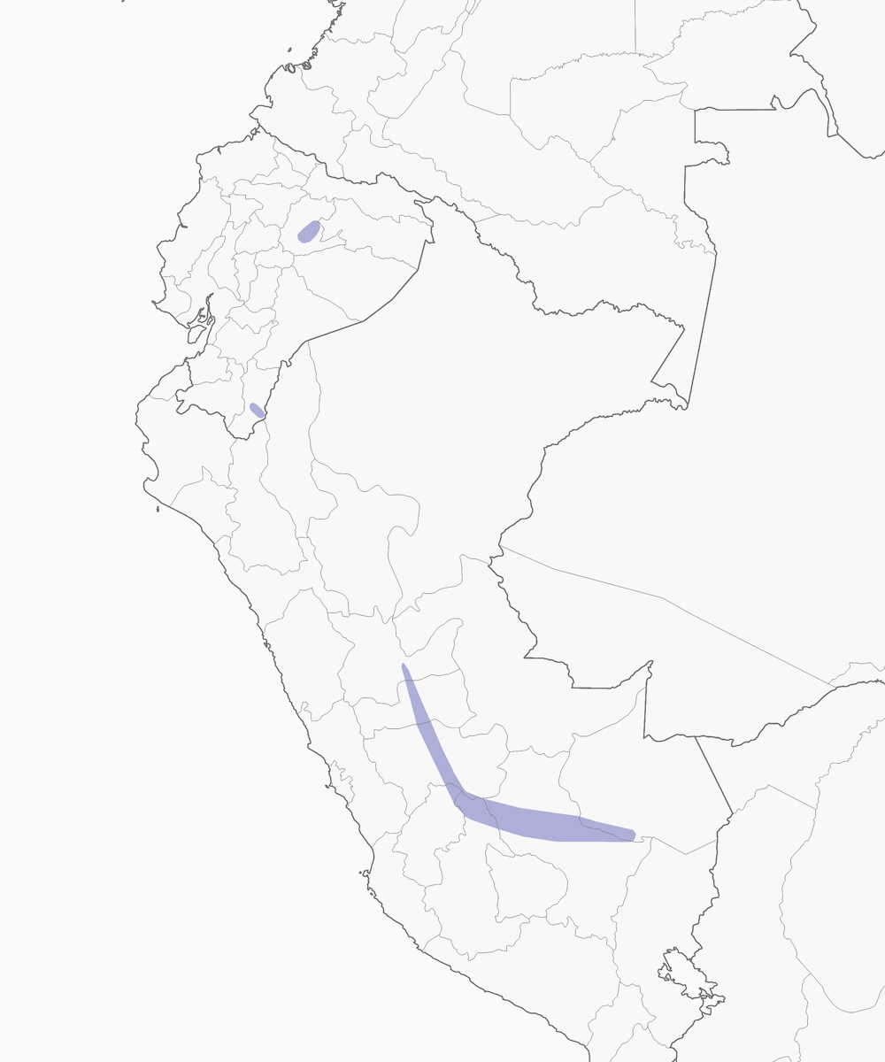 Red-billed Tyrannulet, Distribution 1