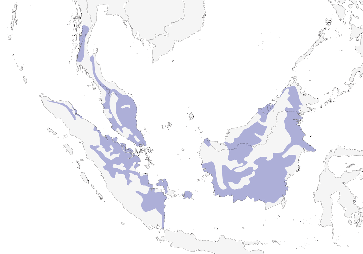 Red-crowned Barbet, Distribution 1
