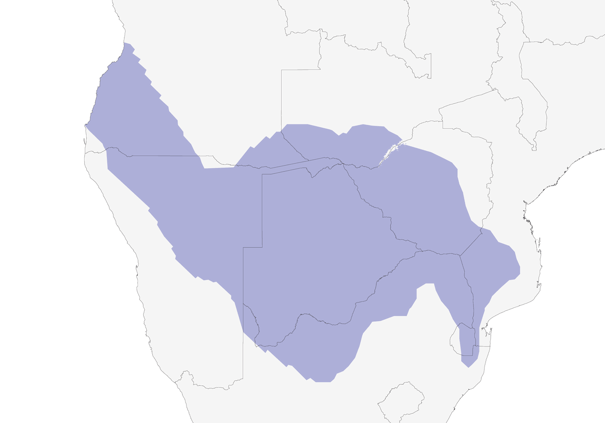 Otarda crestata rossiccia, Distribuzione 1