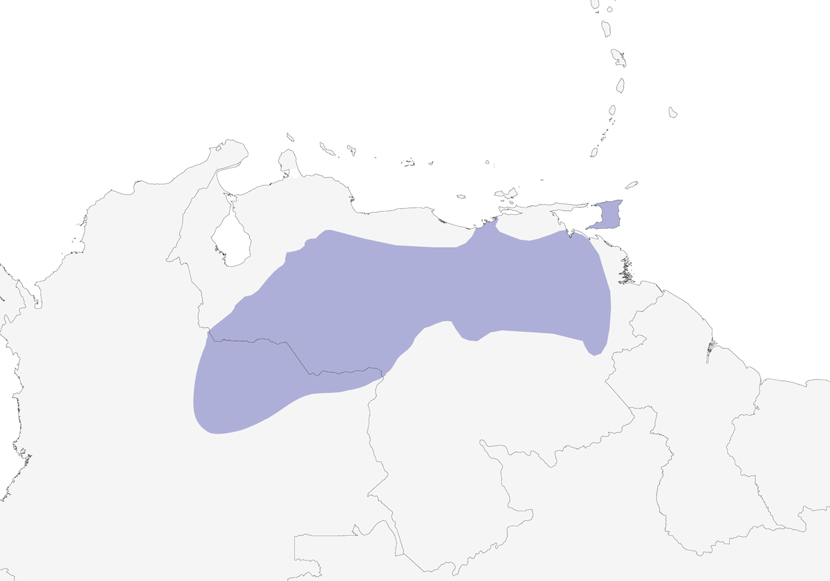 Cardenal enmascarado, Distribución 1