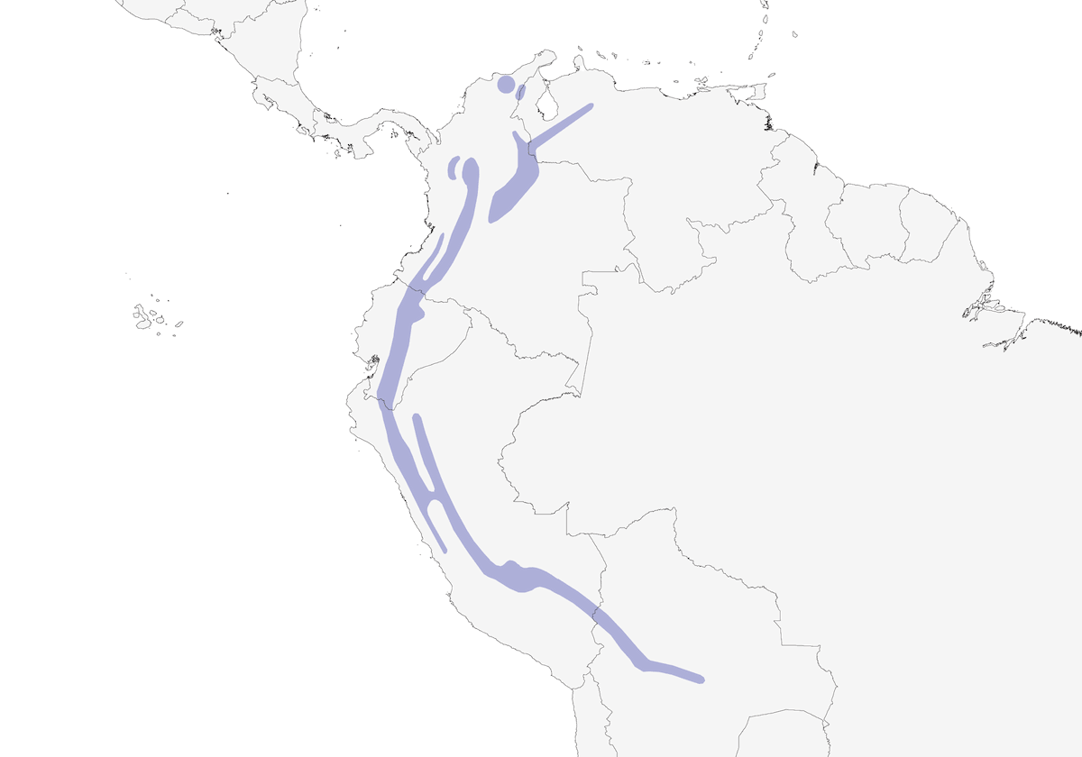 Cotinga Crestirroja, Distribución 1