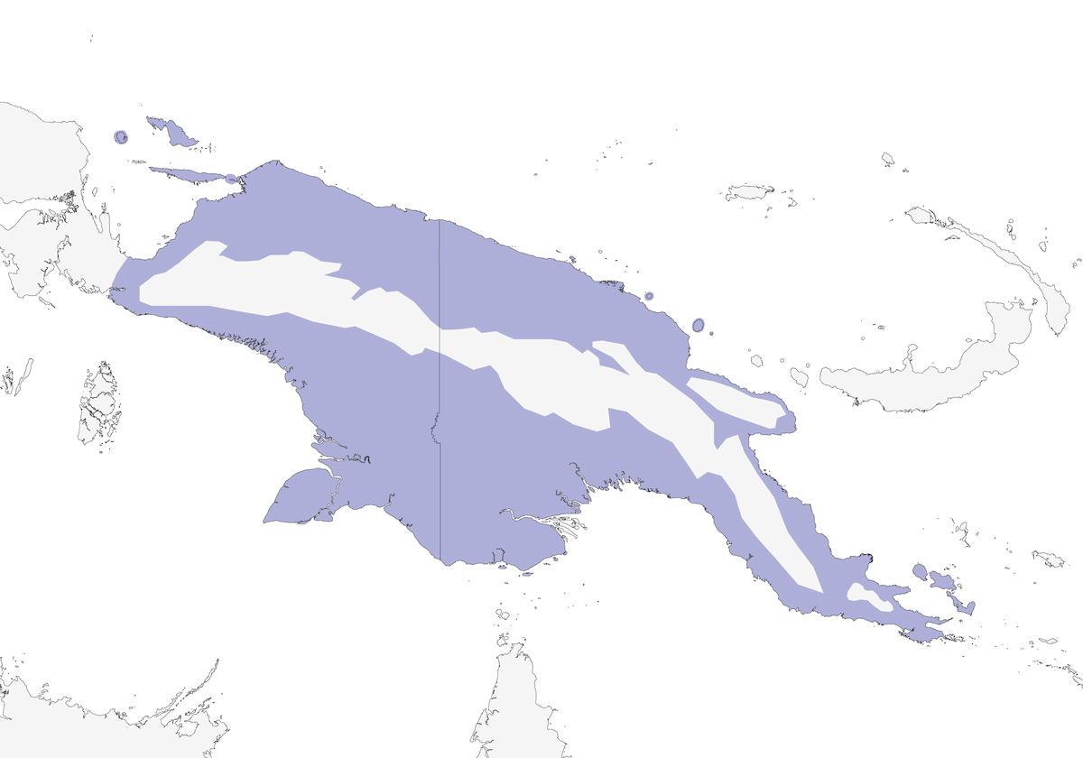 Beccafiore corona rossa, Distribuzione 1