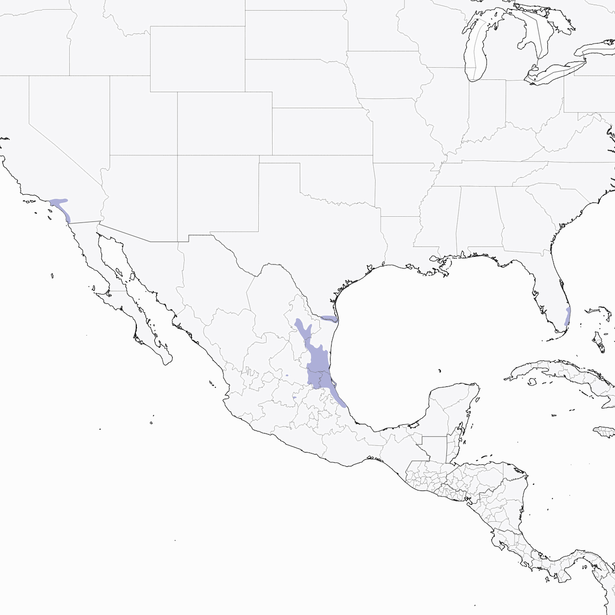Red-crowned Amazon, Distribution 1