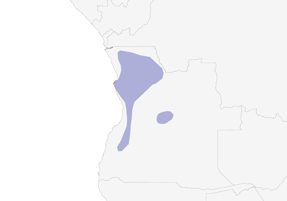 Turaco crestarossa, Distribuzione 1