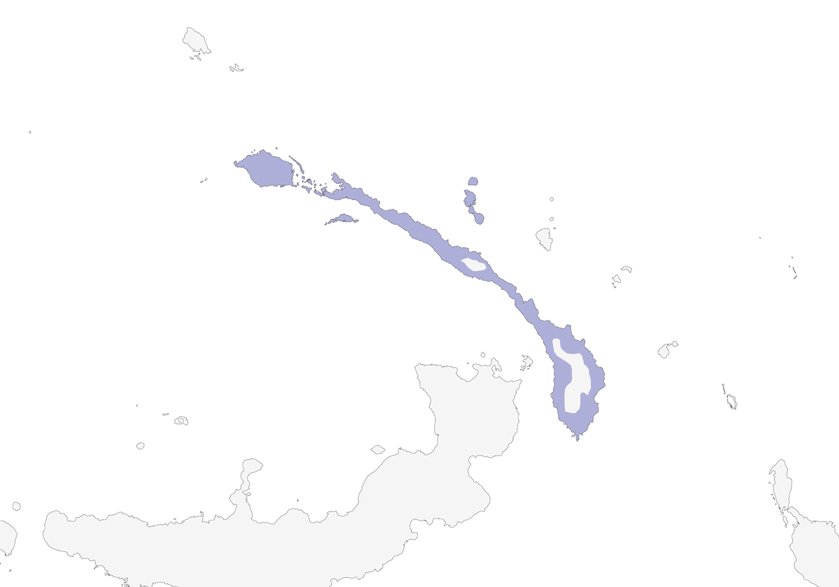 Reddish Myzomela, Distribution 1