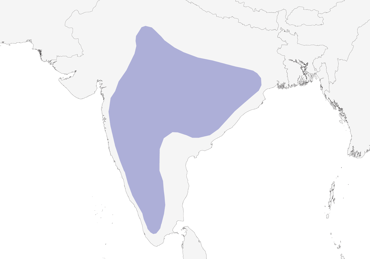 Red Spurfowl, Distribution 1
