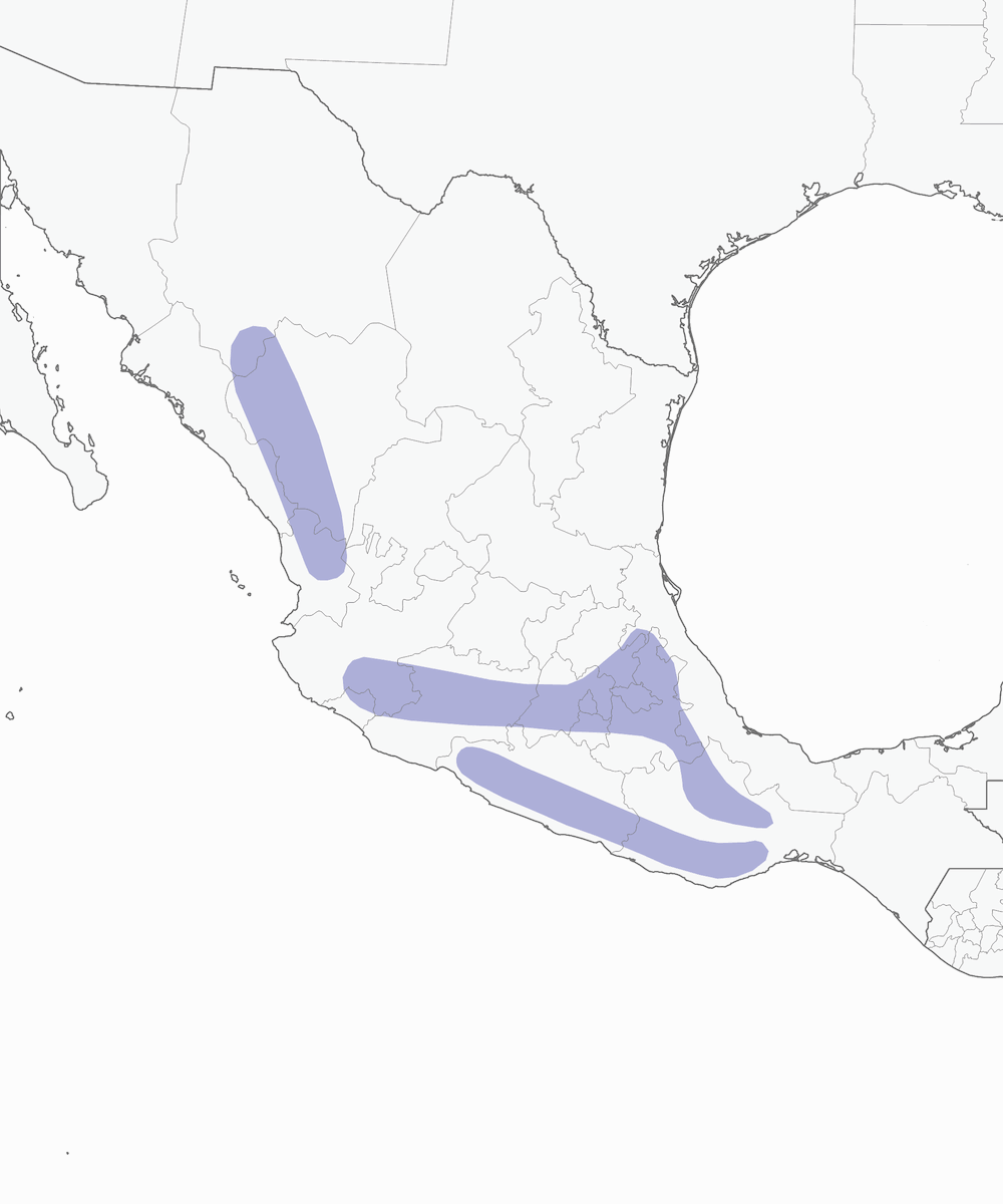 Parulide rossa, Distribuzione 1