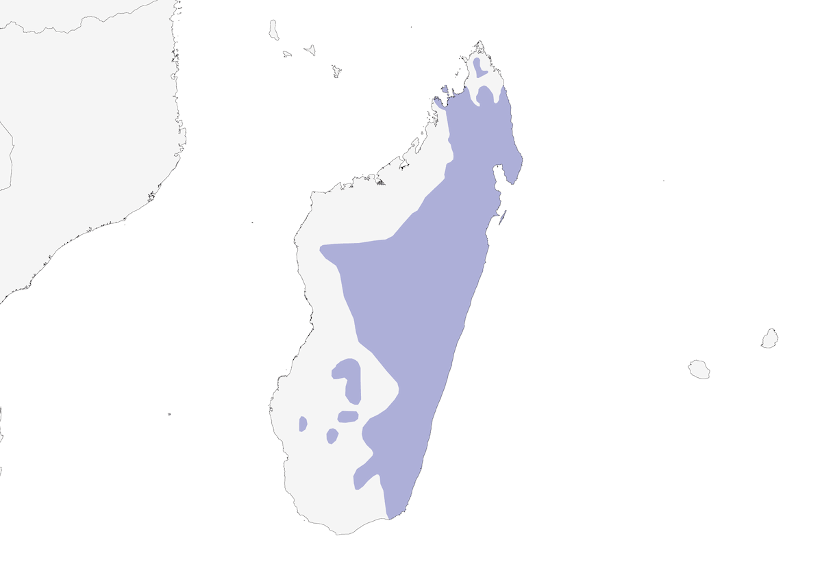 Red-fronted Coua, Distribution 1