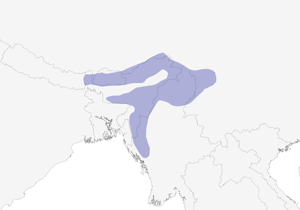 Liocichla facciarossa, Distribuzione 1