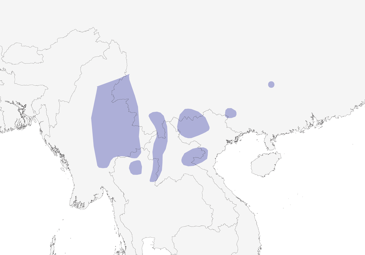 Scarlet-faced Liocichla, Distribution 1