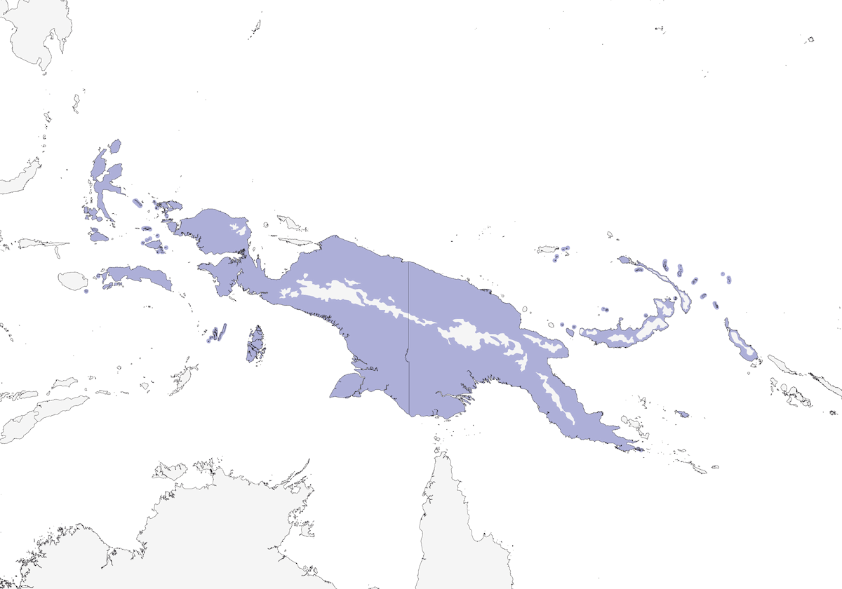 Lorito de flancos rojos, Distribución 1