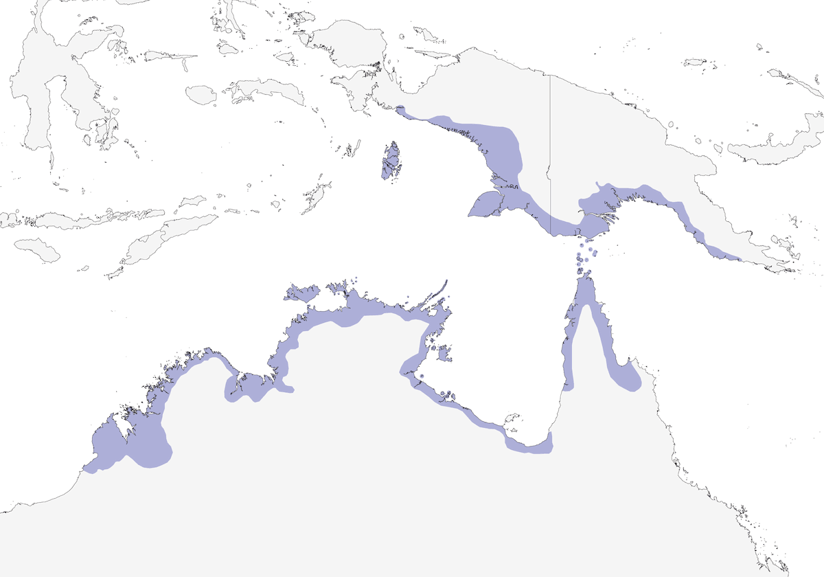 Méliphage à tête rouge, Distribution 1