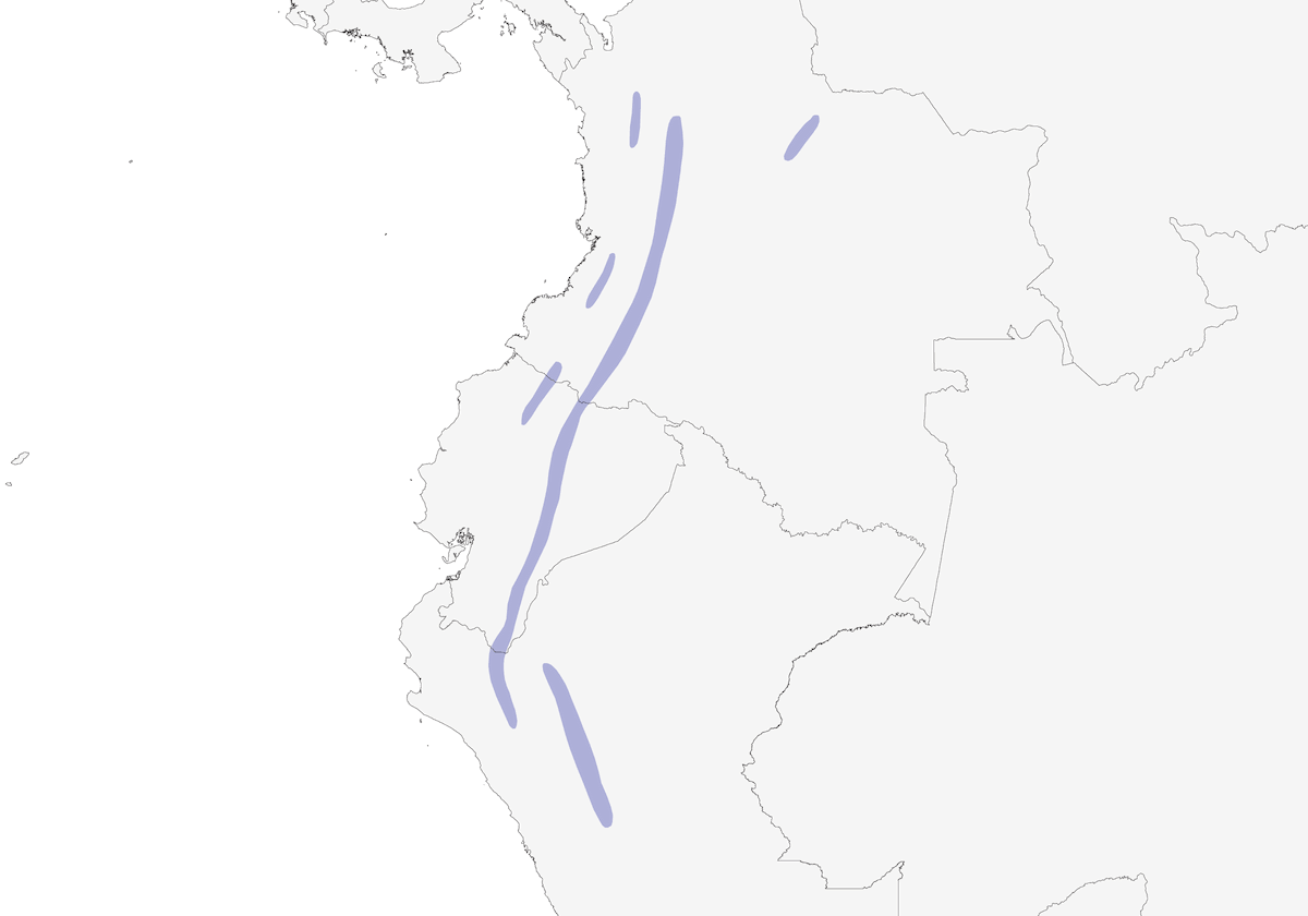 Tangara Capirotirroja, Distribución 1