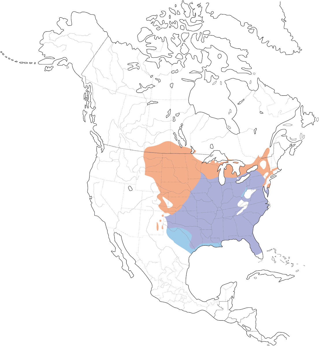 Picchio testarossa, Distribuzione 1