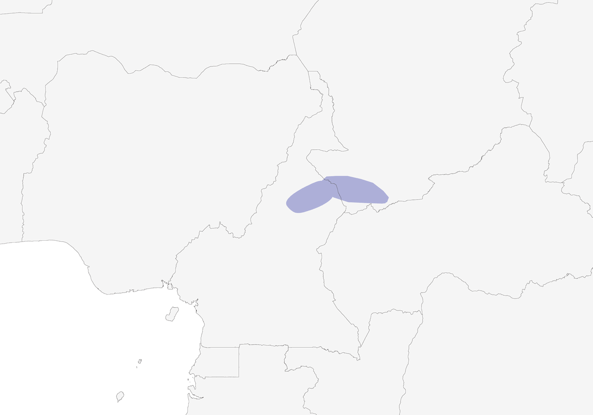 Amarante du Tchad, Distribution 1