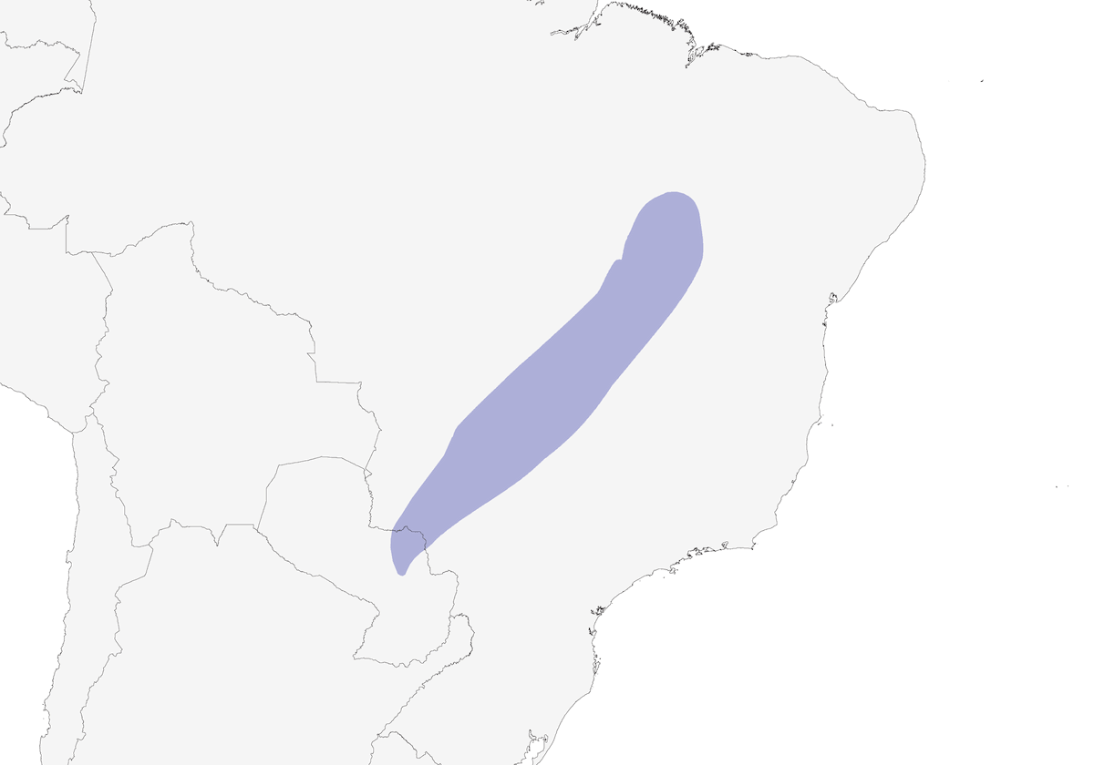 Tiranolete de Reiser, Distribución 1