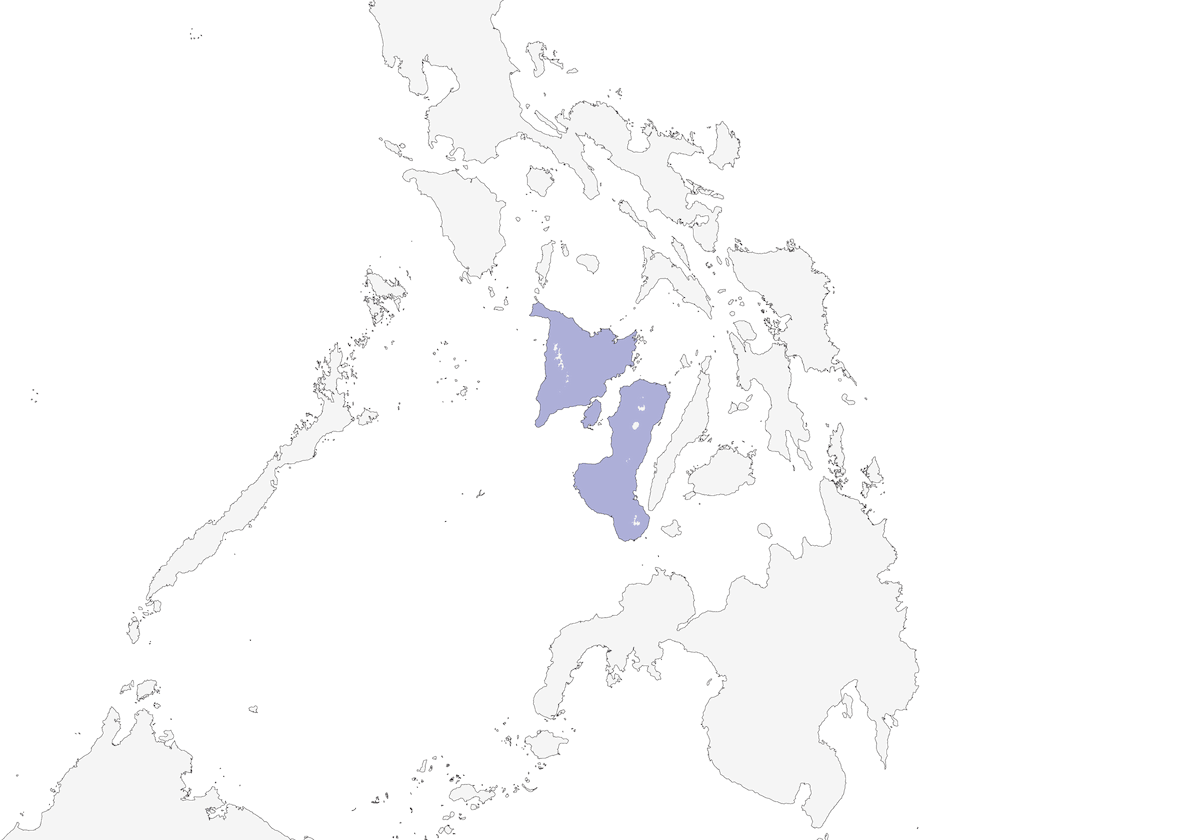 Black-belted Flowerpecker, Distribution 1