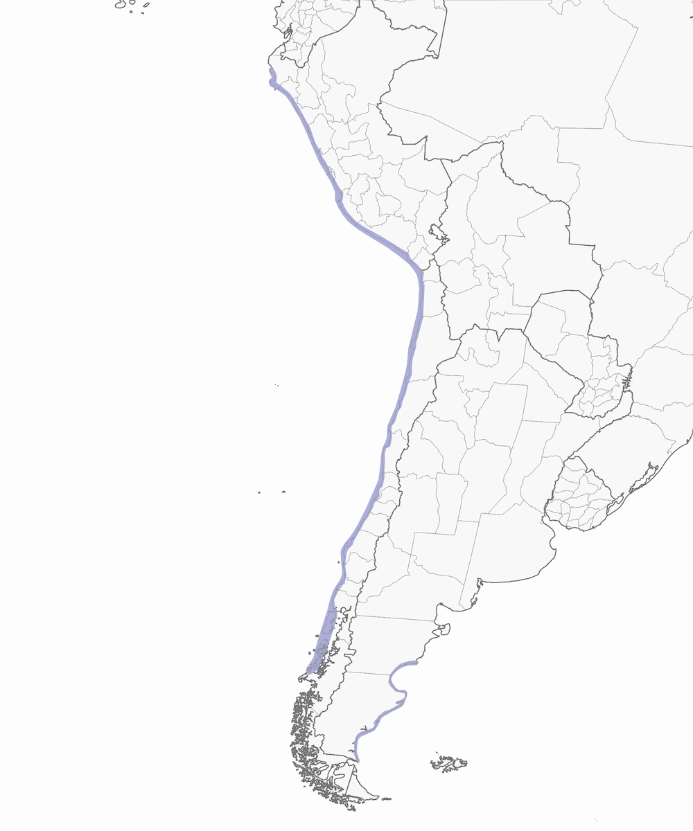 Cormoran de Gaimard, Distribution 1