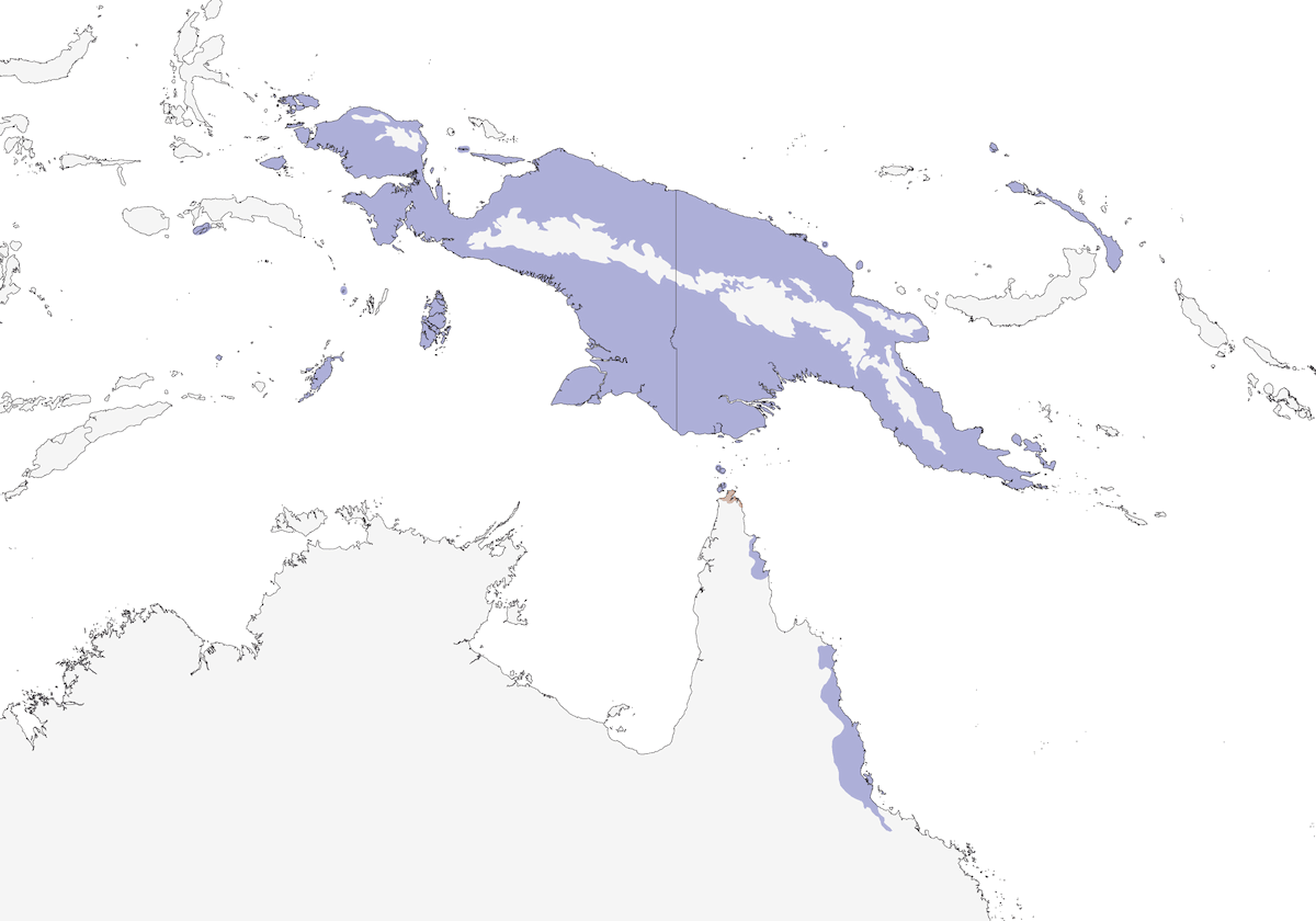 Red-necked Crake, Distribution 1